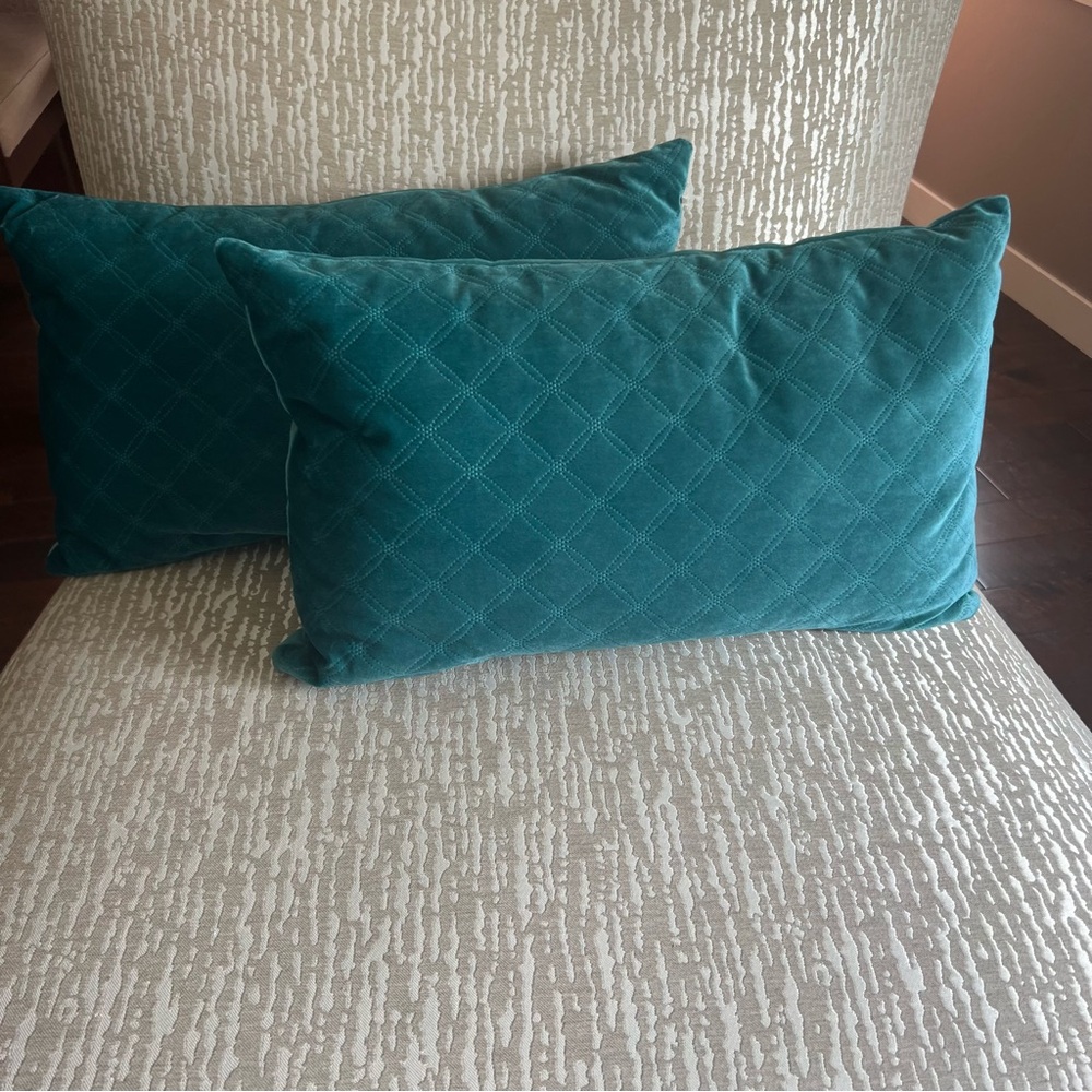 Decorative/ throw pillows